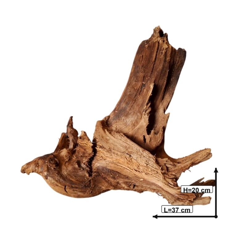 Sold Tuskwood aquarium root P122620, white-background image, approx. 37 cm