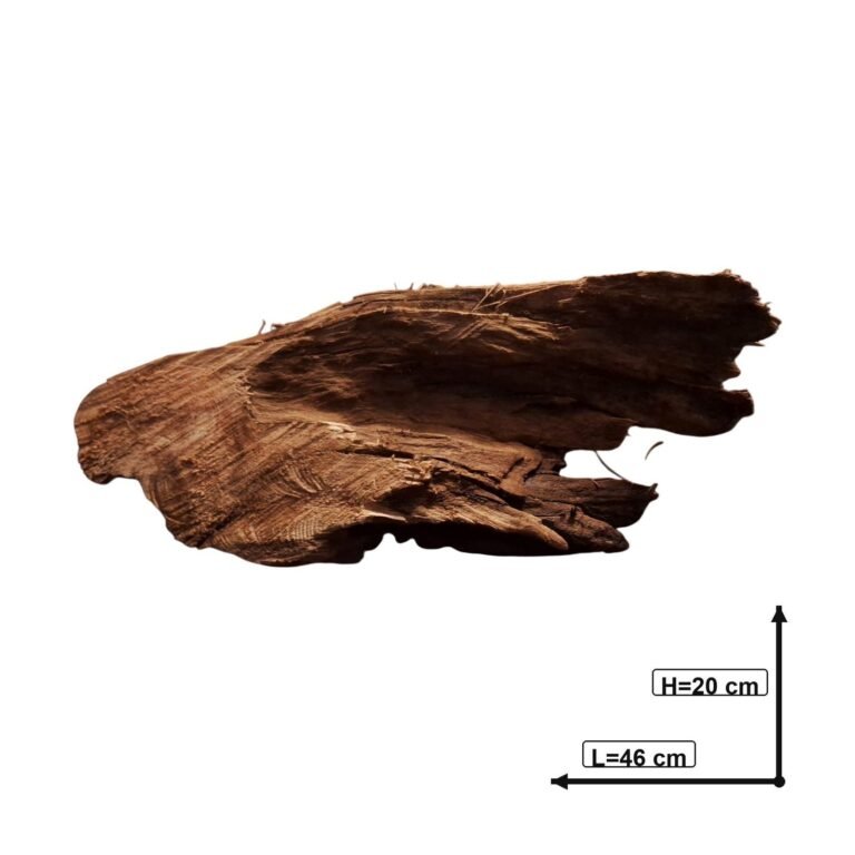 Sold Tuskwood aquarium root P282621, white-background image, approx. 46 cm