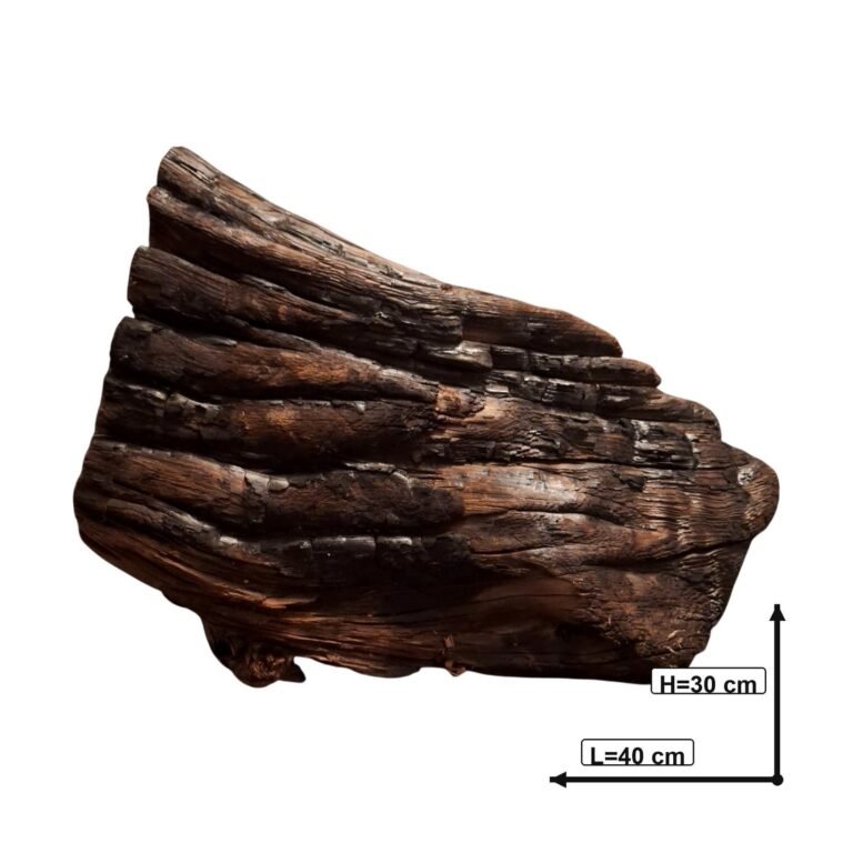 Sold Tuskwood aquarium root P072622, white-background image, approx. 40 cm