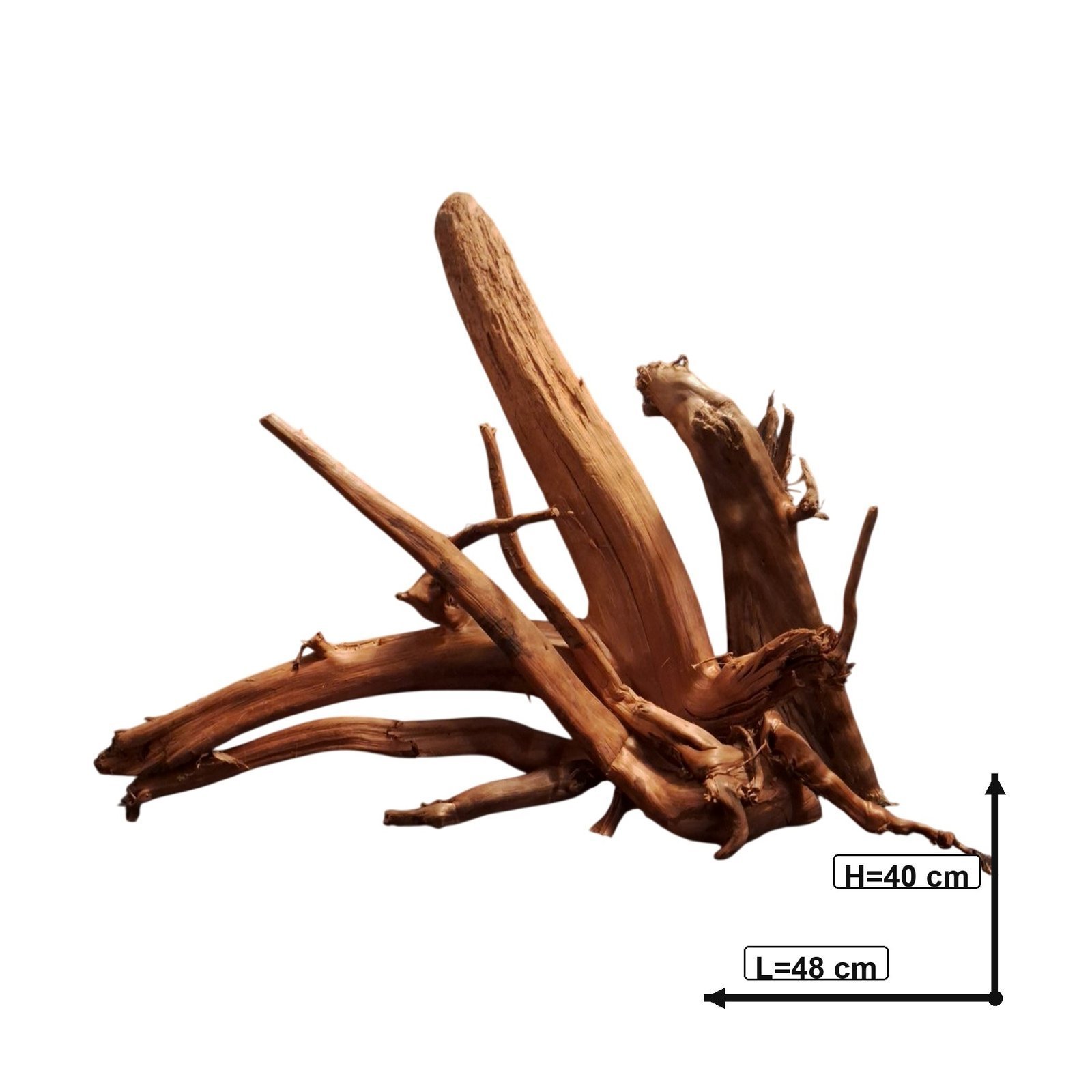 Tuskwood Akvarierot Set om 4 delar WYSIWYG Äkta Bogwood Unik 48 cm S4192622