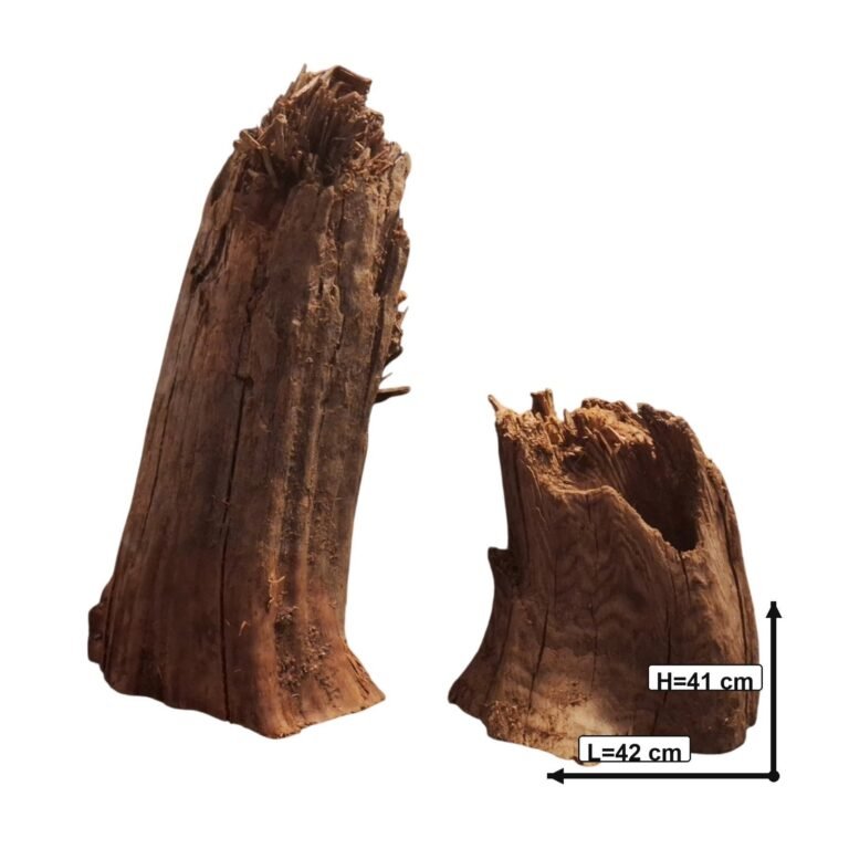 Sold Tuskwood root set S2012623, white-background image, approx. 42 cm