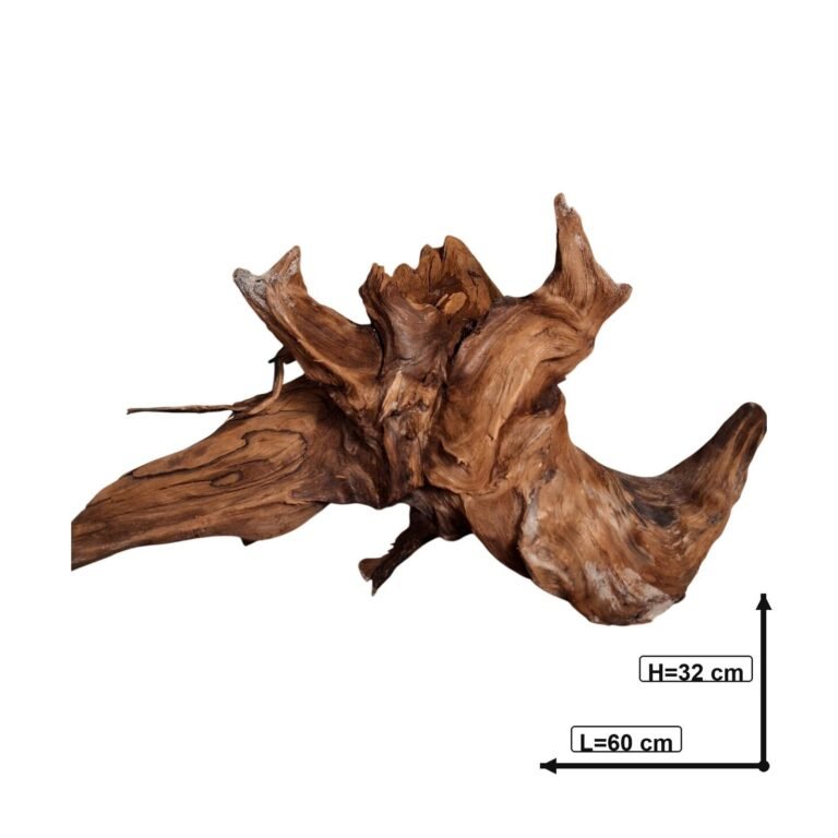Sold Tuskwood aquarium root Nr127, white-background image, approx. 60 cm