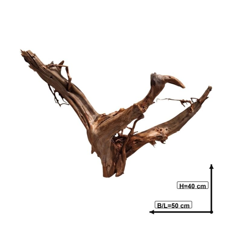 Sold Tuskwood aquarium root NrT18, white-background image, approx. 50 cm
