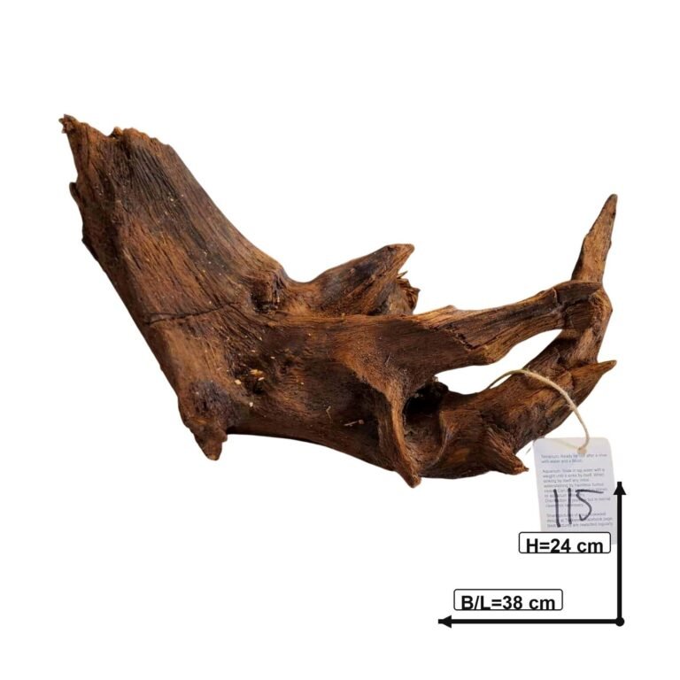 Sold Tuskwood aquarium root nr115A, white-background image, approx. 38 cm