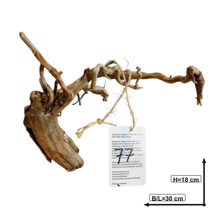 Sold Tuskwood aquarium root nr77, white-background image, approx. 30 cm