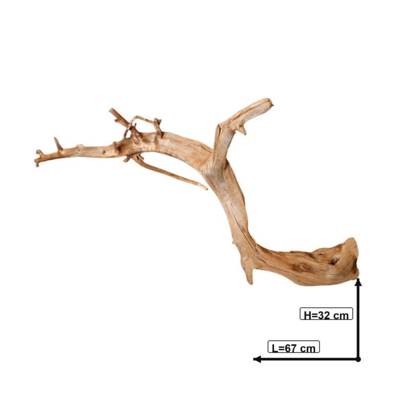 Sold Tuskwood aquarium root P022620, white-background image, approx. 67 cm