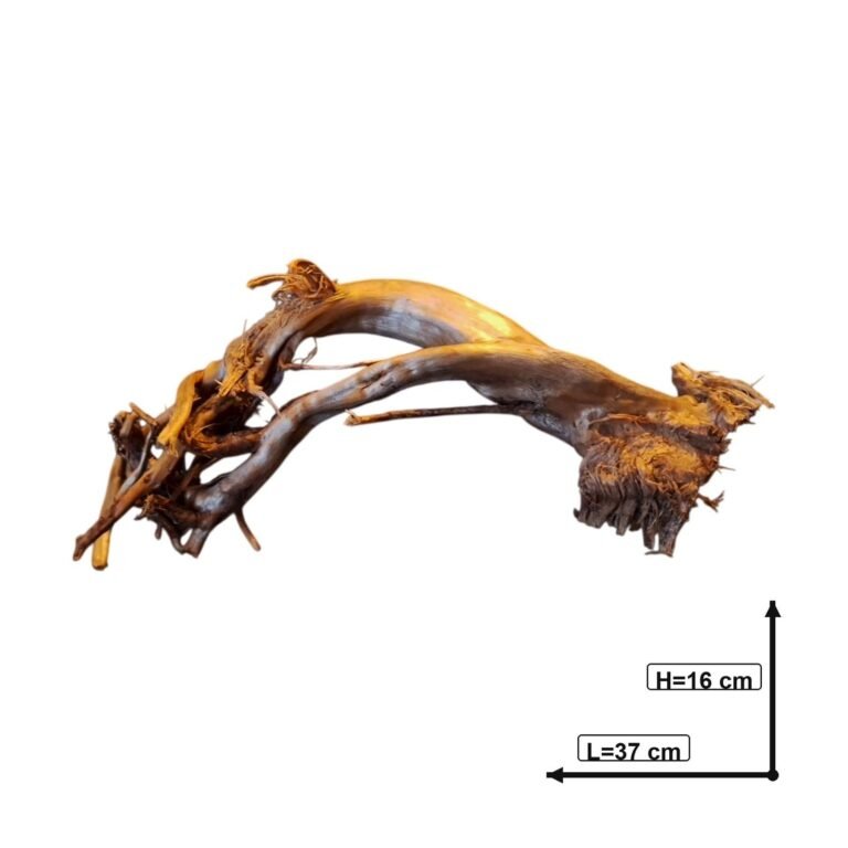 Sold Tuskwood aquarium root P172620, white-background image, approx. 37 cm