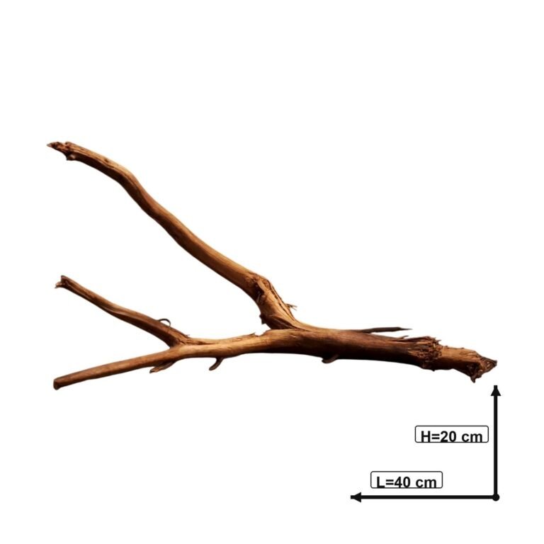 Sold Tuskwood aquarium root P392620, white-background image, approx. 40 cm