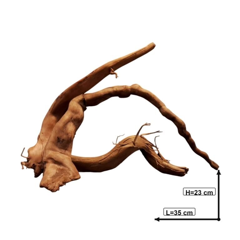 Sold Tuskwood root set S3352620, white-background image, approx. 35 cm