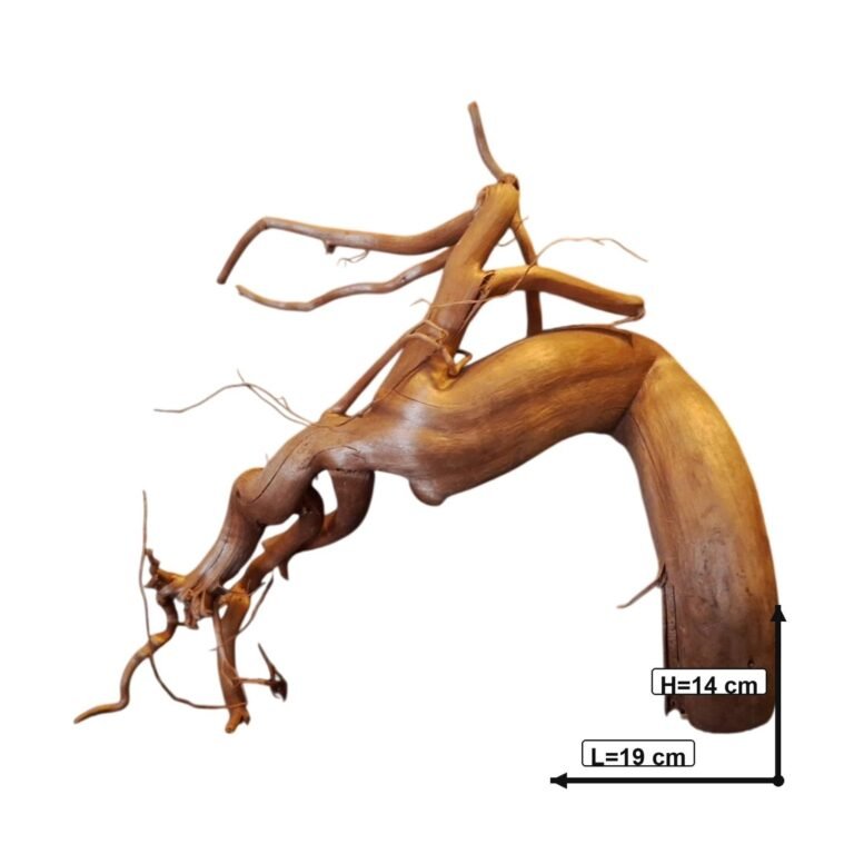 Sold Tuskwood aquarium root P042621, white-background image, approx. 19 cm