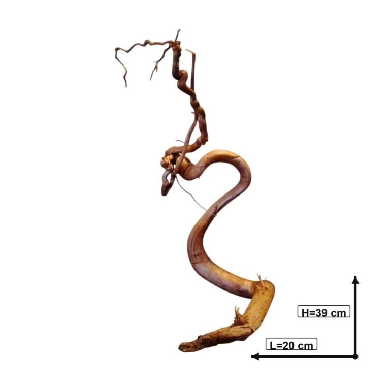Sold Tuskwood aquarium root P142621, white-background image, approx. 39 cm