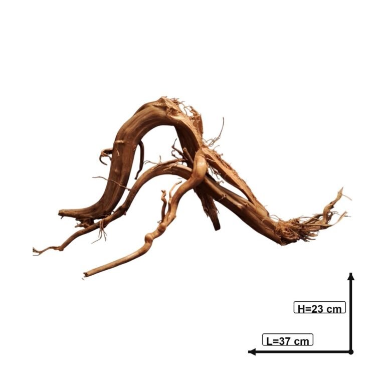 Sold Tuskwood root set S3092622, white-background image, approx. 37 cm