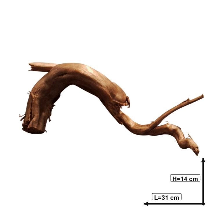 Sold Tuskwood aquarium root P092623, white-background image, approx. 31 cm