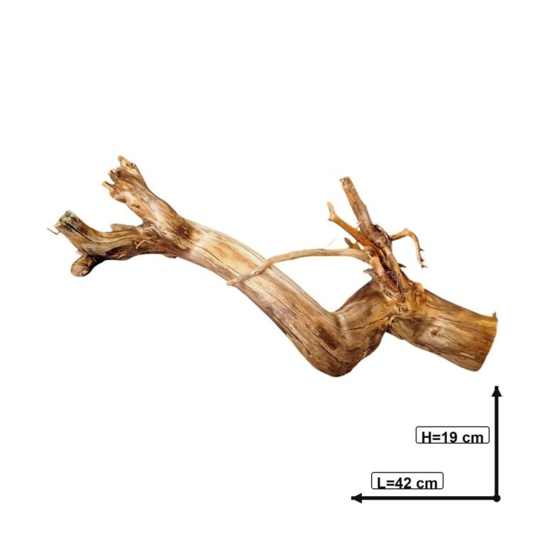 Sold Tuskwood aquarium root P092619, white-background image, approx. 42 cm
