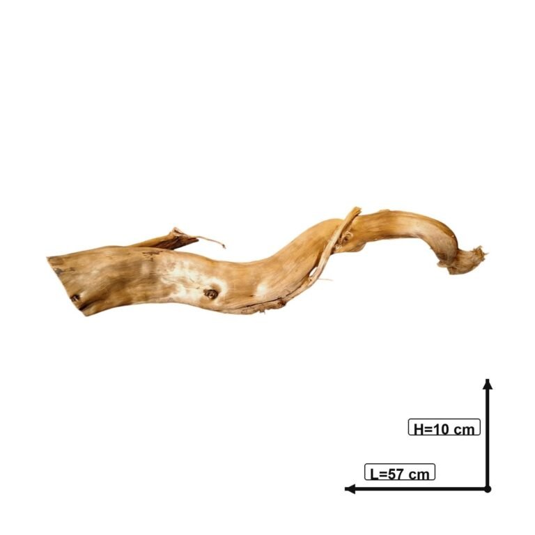 Sold Tuskwood aquarium root P122619, white-background image, approx. 57 cm