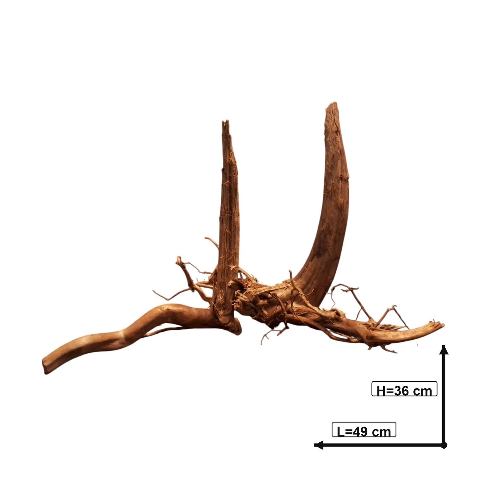 Tuskwood Aquarienwurzel 2er Set WYSIWYG Echtes Bogwood Einzigartig 49 cm S2342620