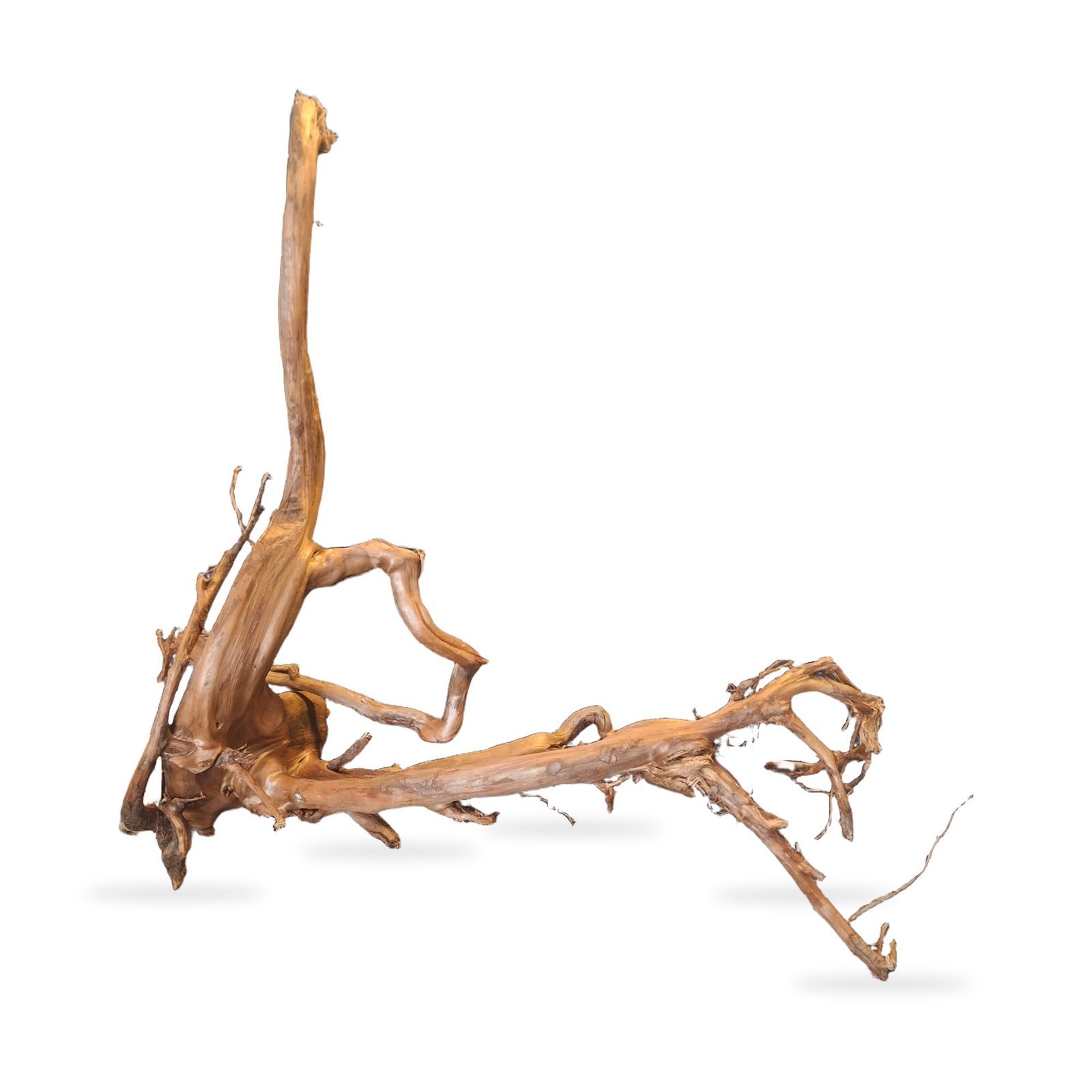 Tuskwood Akvarierot WYSIWYG Äkta Bogwood Unik 76 cm 032638