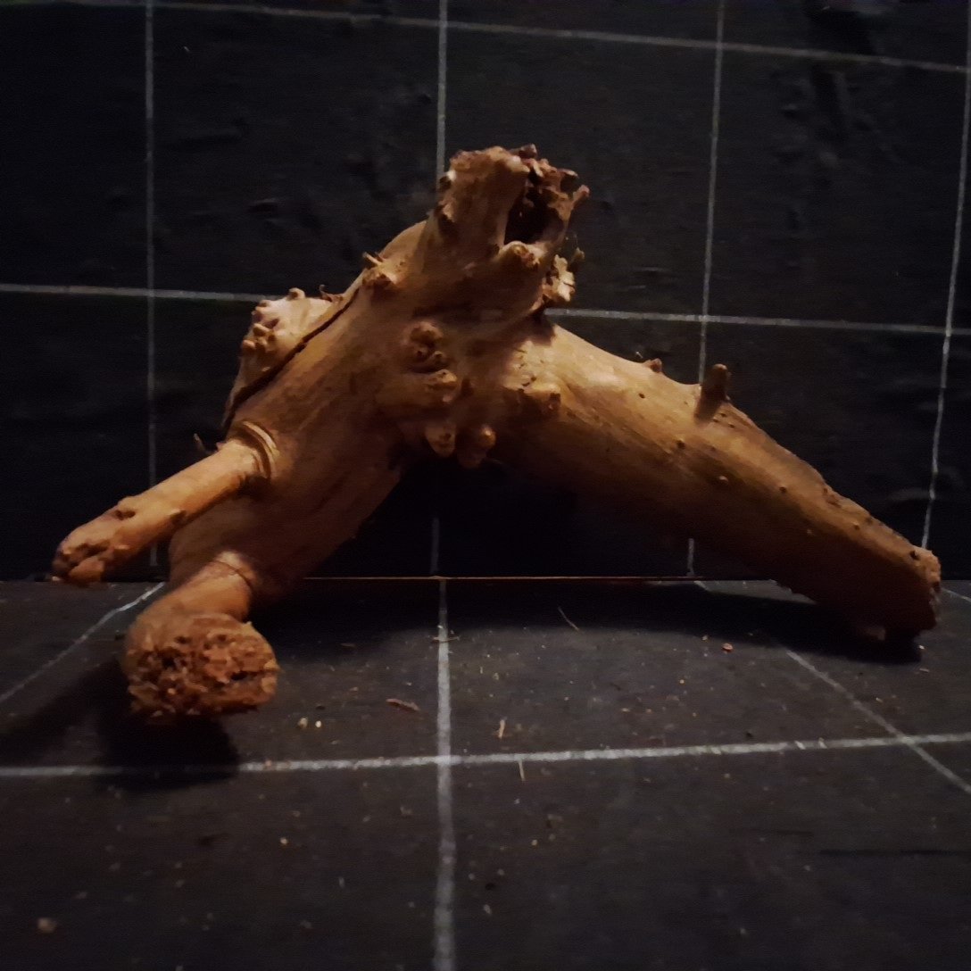 Tuskwood Akvaario Juuri WYSIWYG Aito Bogwood Unique 24 cm P142623