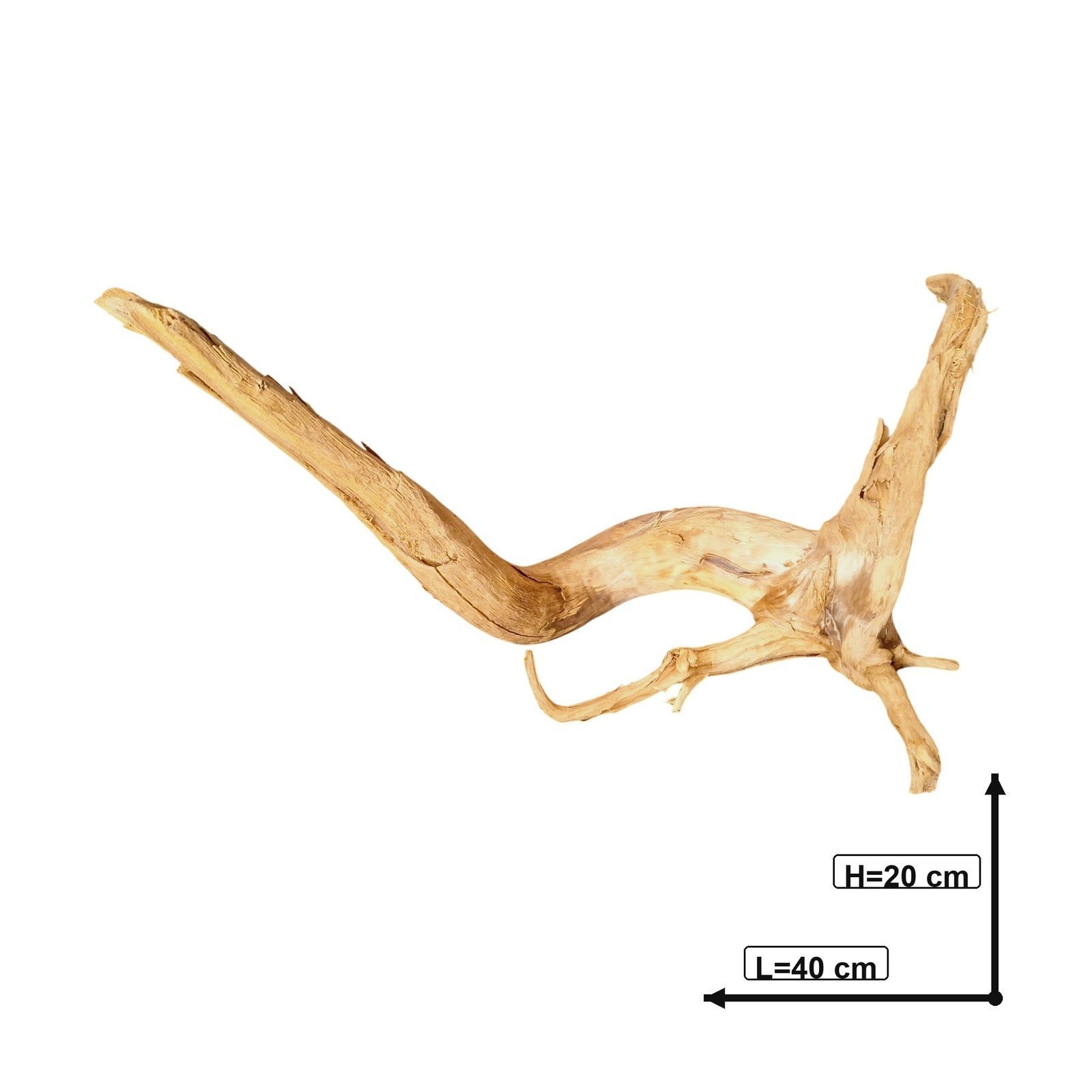 Tuskwood akvarierot i äkta bogwood, 40 cm, P162618