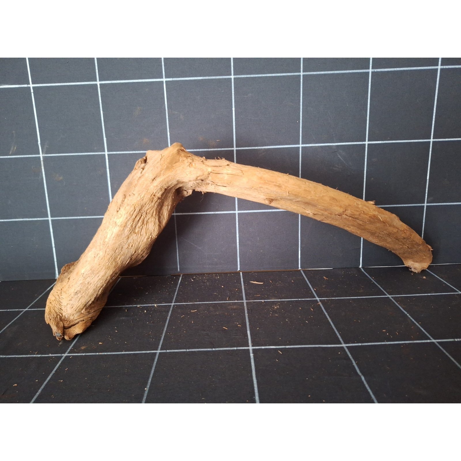 Tuskwood akvarierot i äkta bogwood, 58 cm, P182618