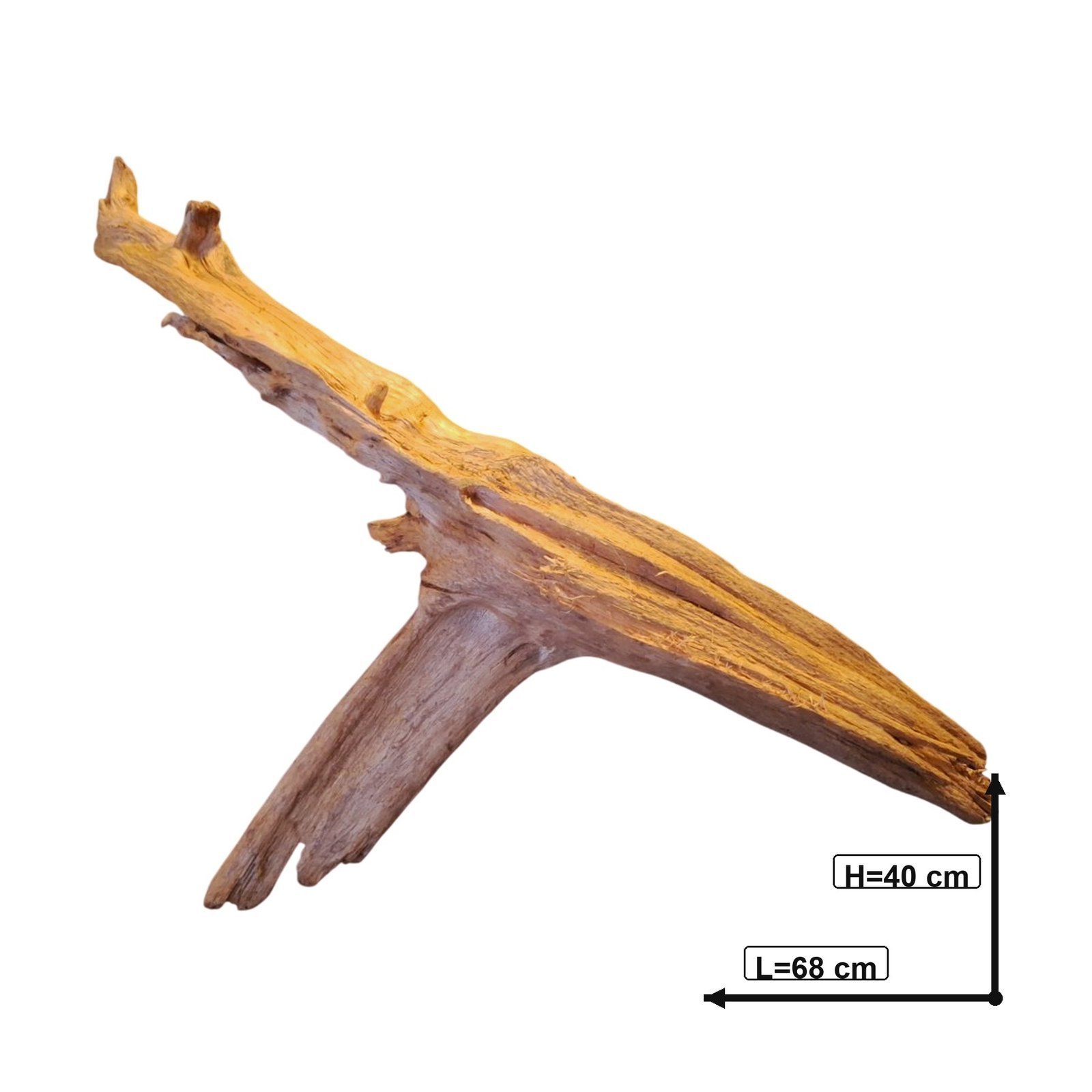 Tuskwood akvarierot i äkta bogwood, 68 cm, P222618