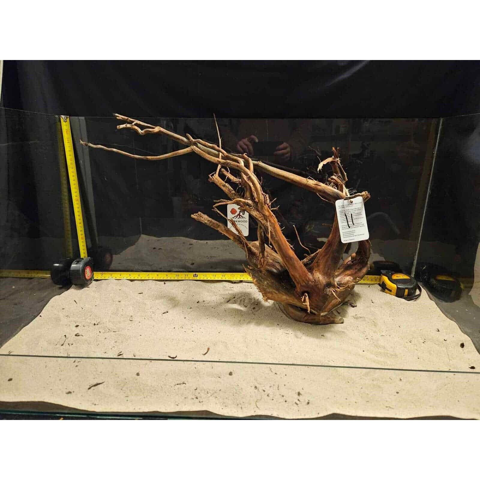 Tuskwood Aquariumrot WYSIWYG Echt Bogwood Uniek 55 cm nr. 11A