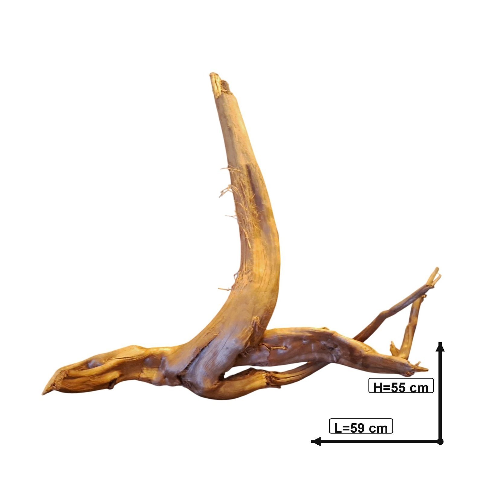 Tuskwood akvarierot i äkta bogwood, 59 cm, P252618