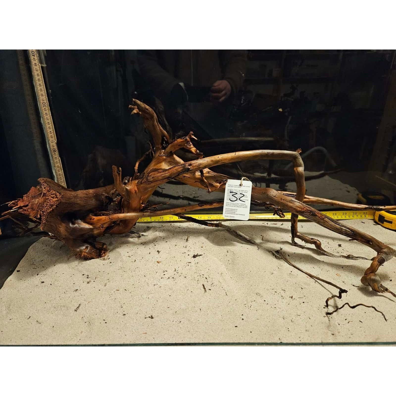 Tuskwood Aquarium-Wurzel WYSIWYG Echtes Bogwood Einzigartig 80 cm Nr. 32A