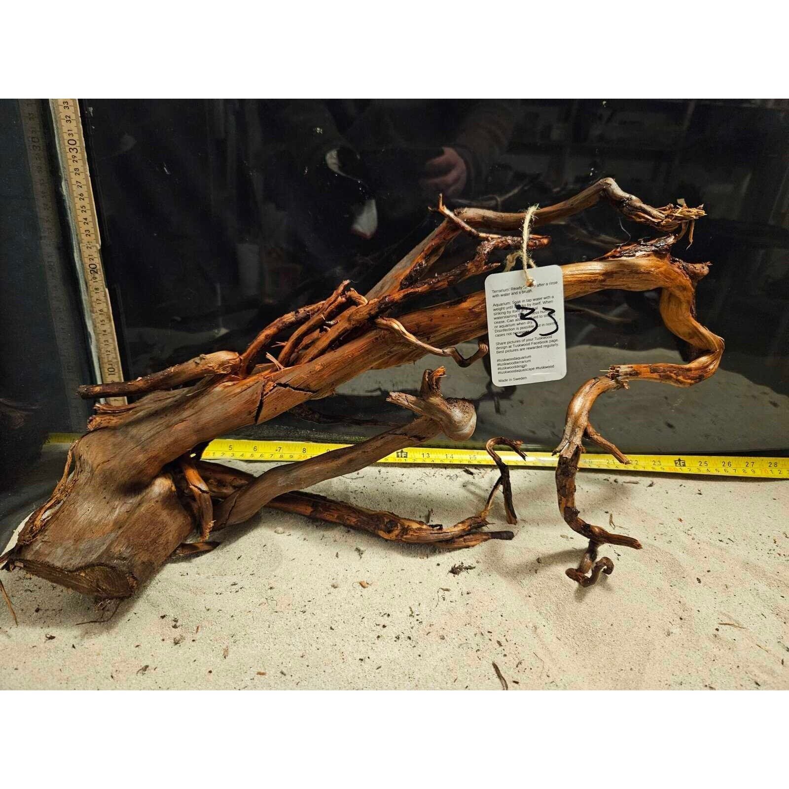 Tuskwood Aquarienholz WYSIWYG Echtes Bogwood Einzigartig 50 cm Nr. 33A