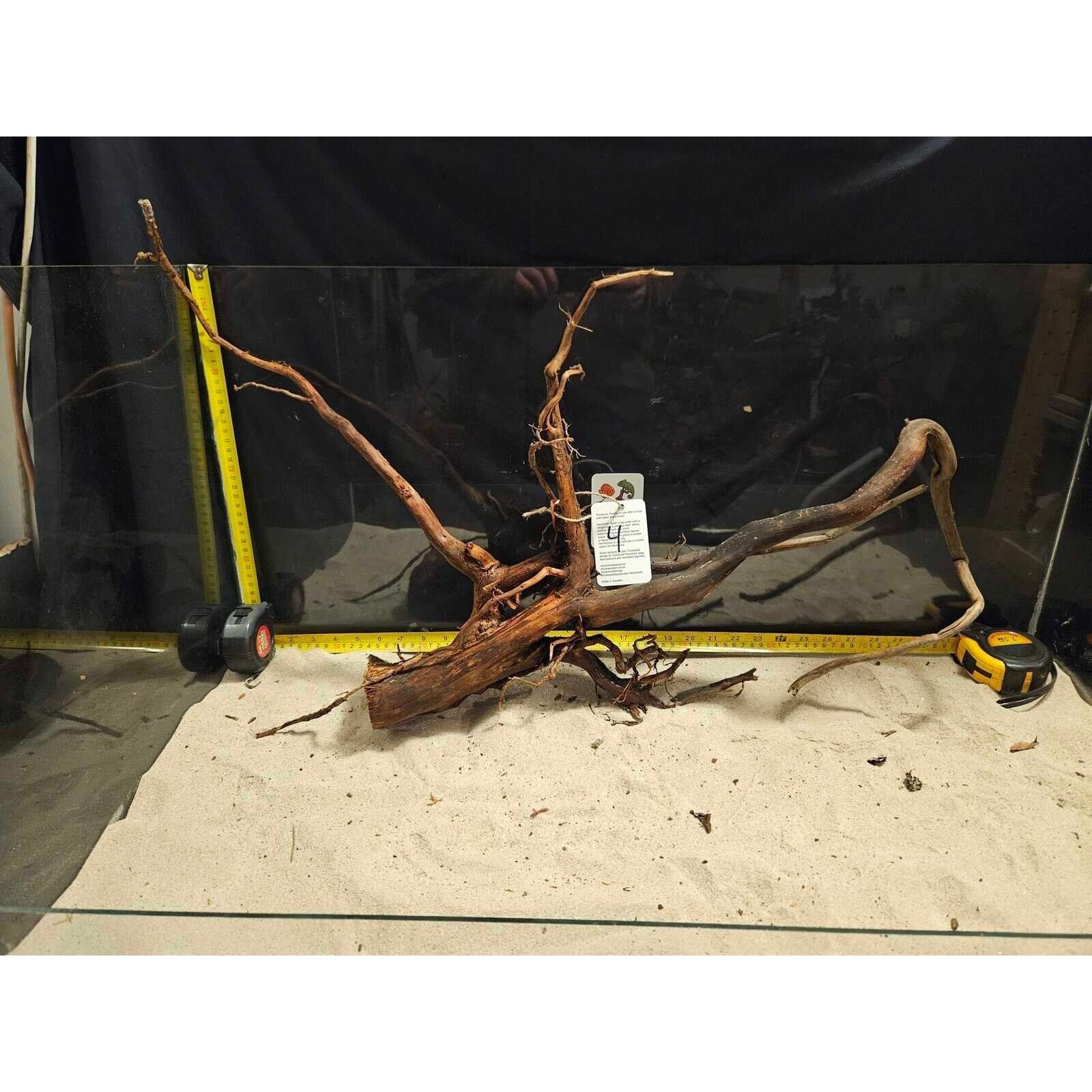 Tuskwood Aquarienwurzel WYSIWYG Echtes Bogwood Einzigartig 52 cm Nr. 4