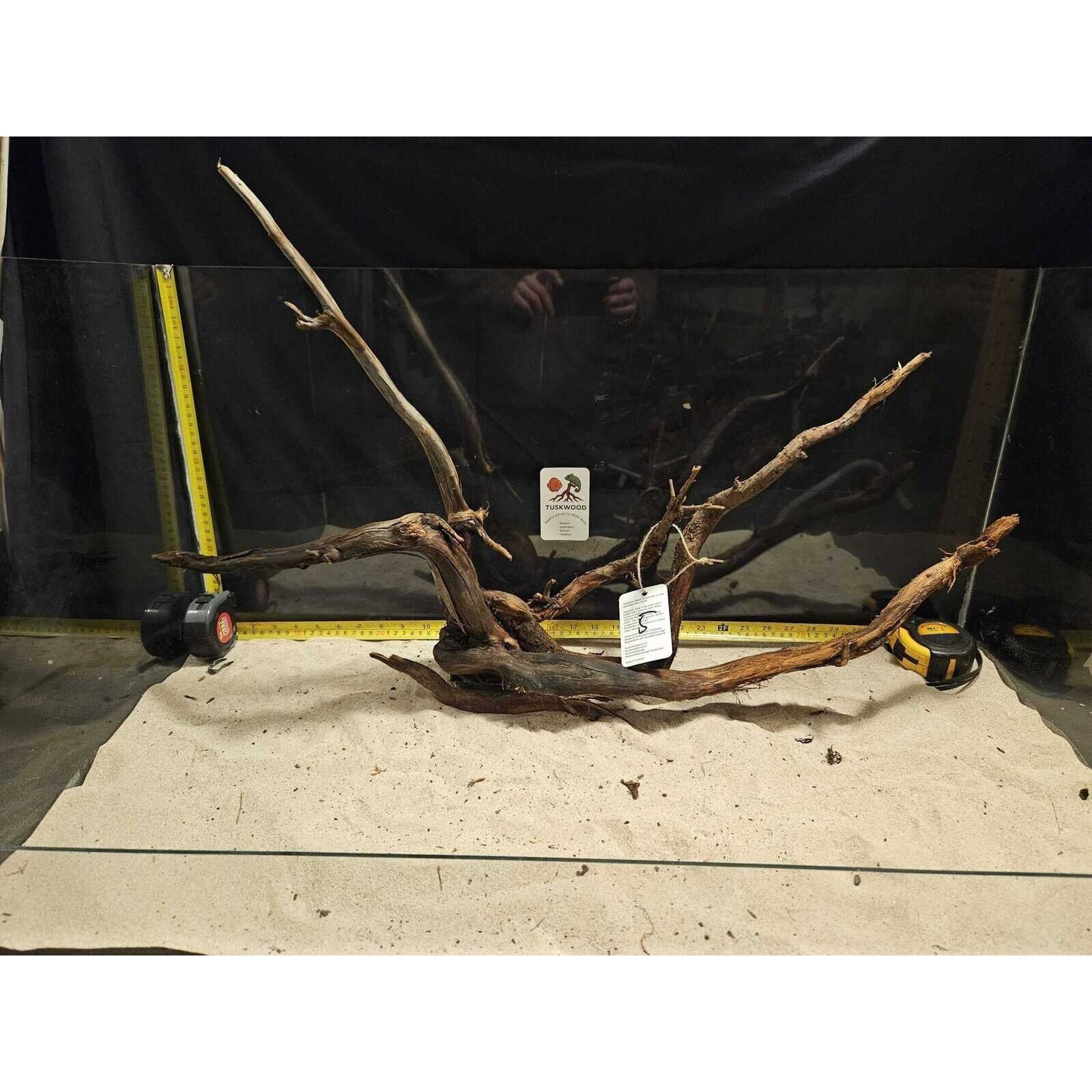 Tuskwood Aquarium-Zierholz WYSIWYG Echtes Bogwood Einzigartig 80 cm Nr. 5