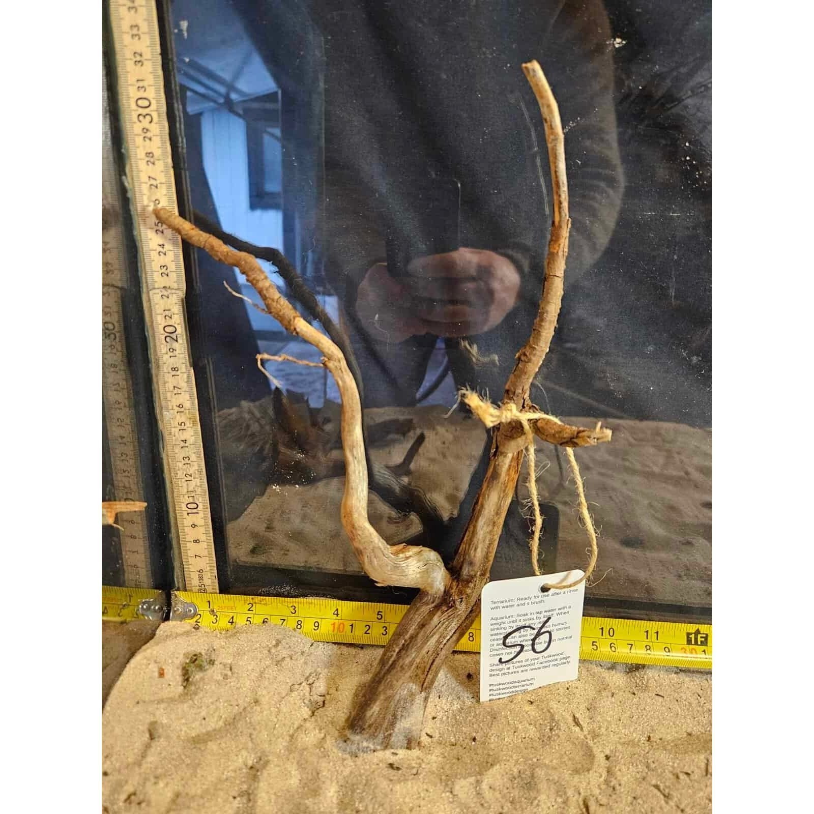 Tuskwood Aquarienholz WYSIWYG Echtes Bogwood Einzigartig 32 cm Nr. 56