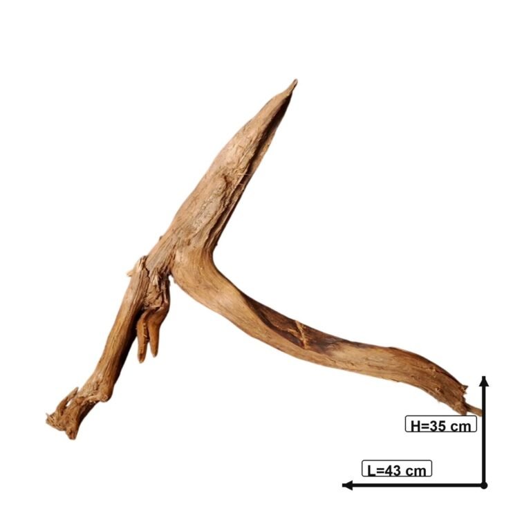 Sold Tuskwood aquarium root P132620, white-background image, approx. 43 cm