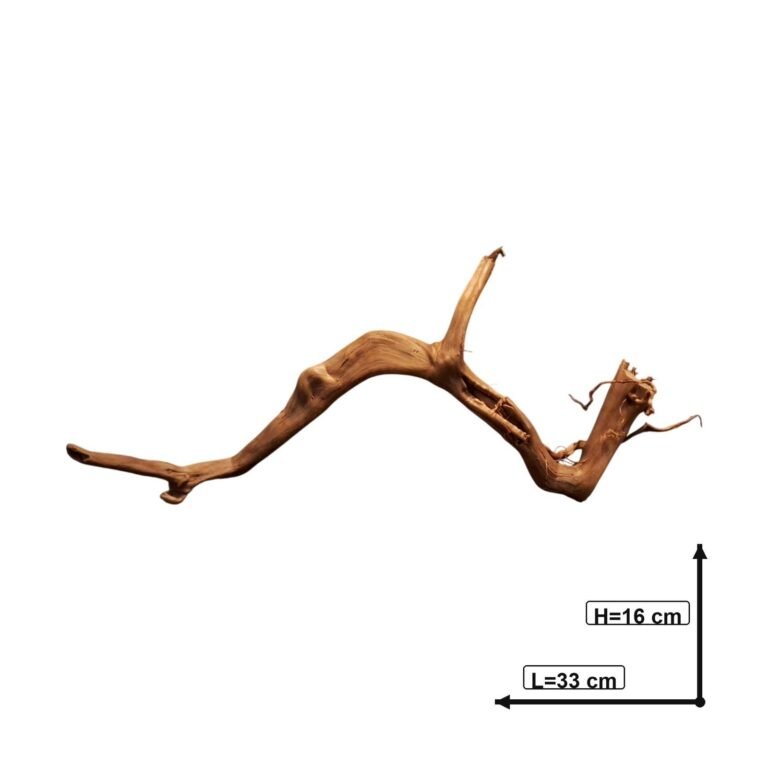 Sold Tuskwood aquarium root P282620, white-background image, approx. 33 cm