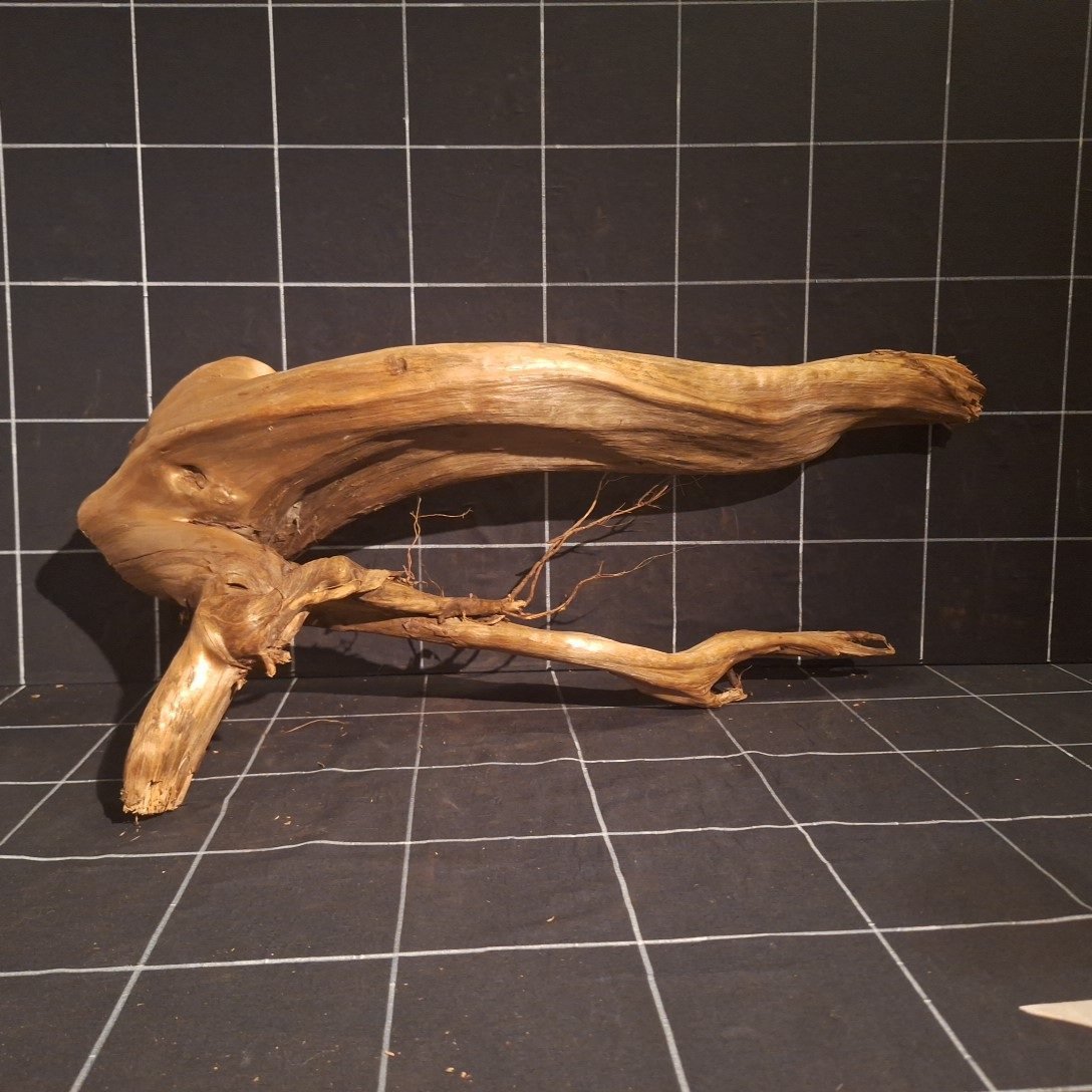 Tuskwood Akvarierot WYSIWYG Äkta Bogwood Unik 61 cm P332623