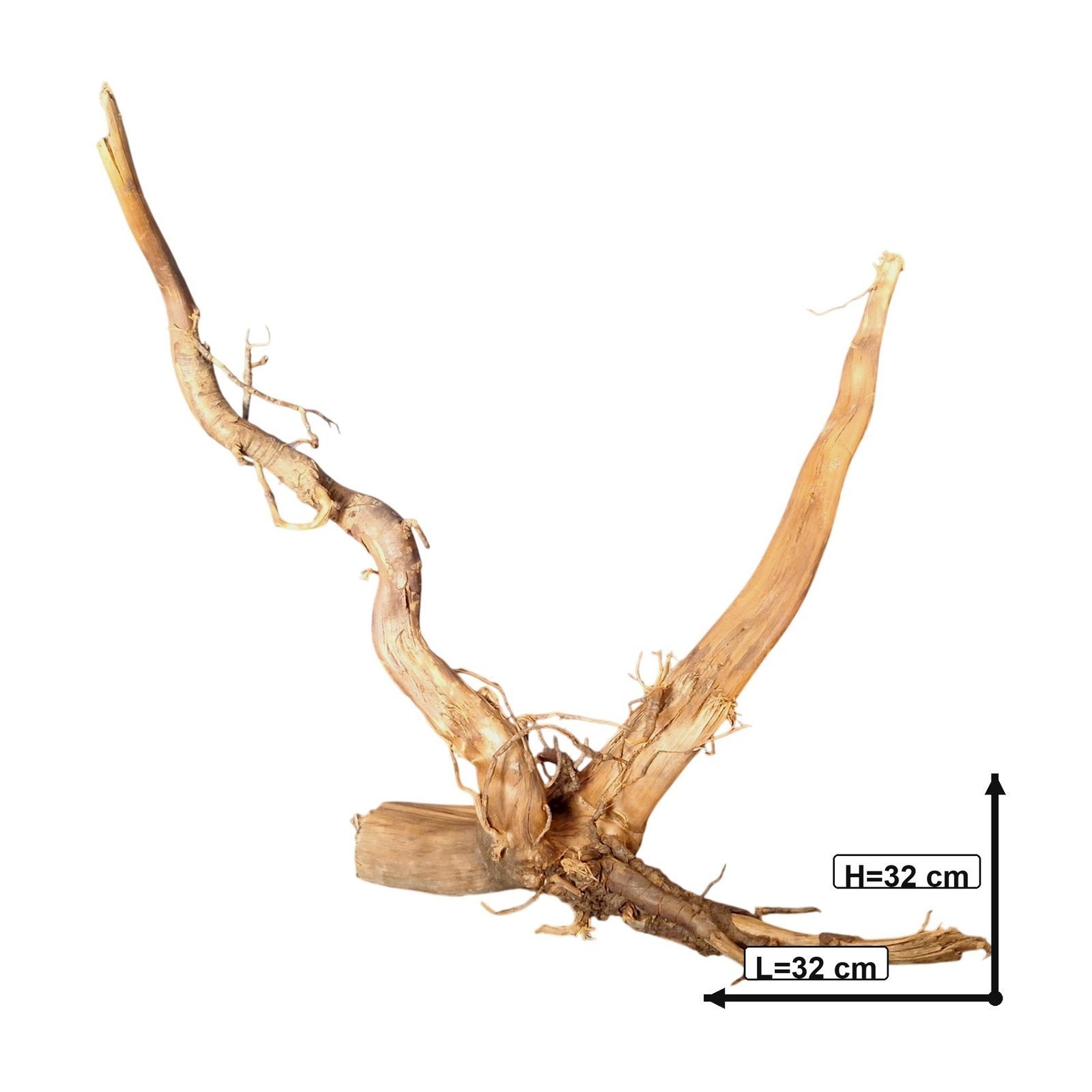 Tuskwood akvarierot i äkta bogwood, 32 cm, P072618