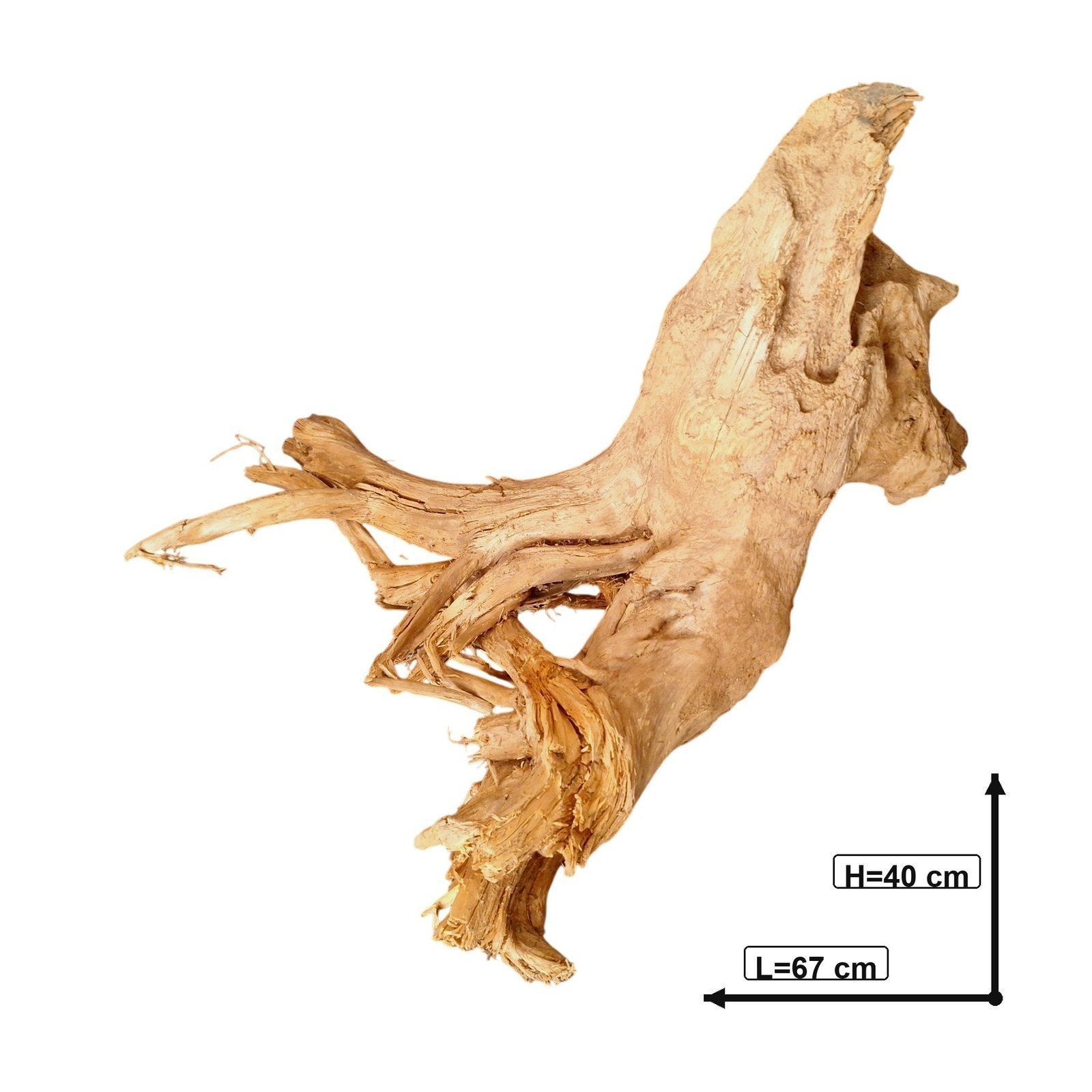 Tuskwood akvarierot i äkta bogwood, 67 cm, P082618