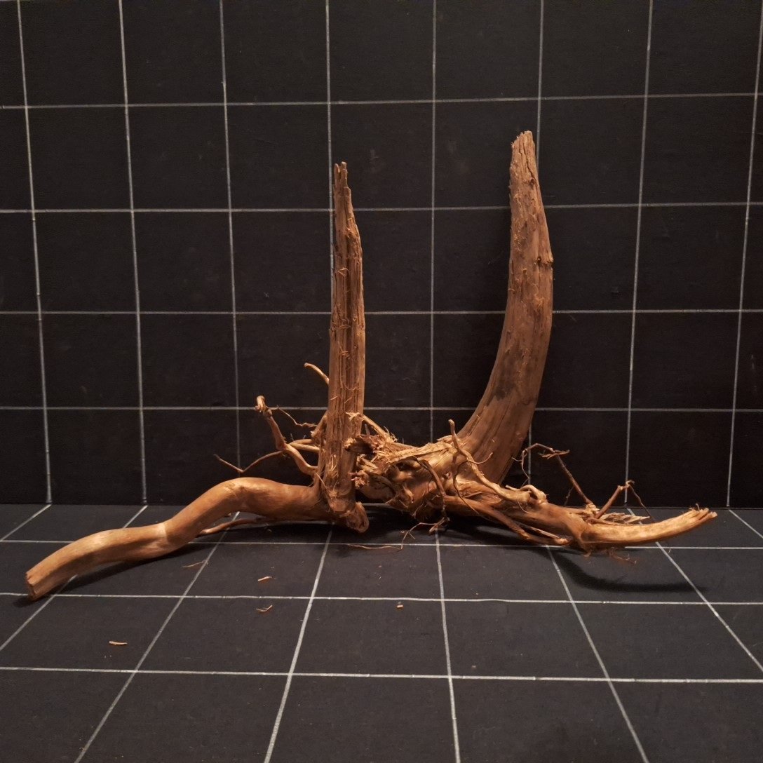 Tuskwood Aquarienwurzel 2er Set WYSIWYG Echtes Bogwood Einzigartig 49 cm S2342620