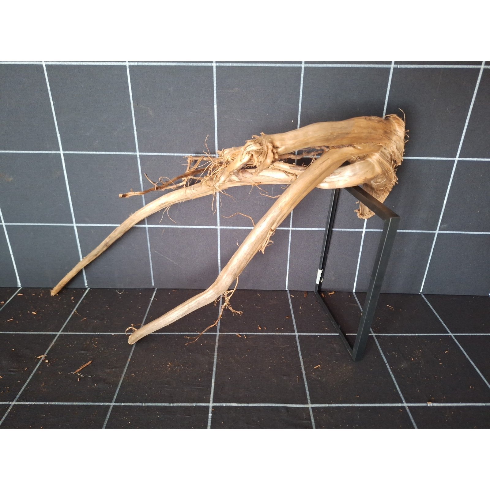 Tuskwood akvarierot i äkta bogwood, 50 cm, P102618