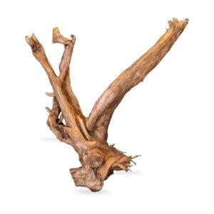 Tuskwood Aquarienwurzel WYSIWYG Echtes Bogwood Einzigartig 42 cm 042638
