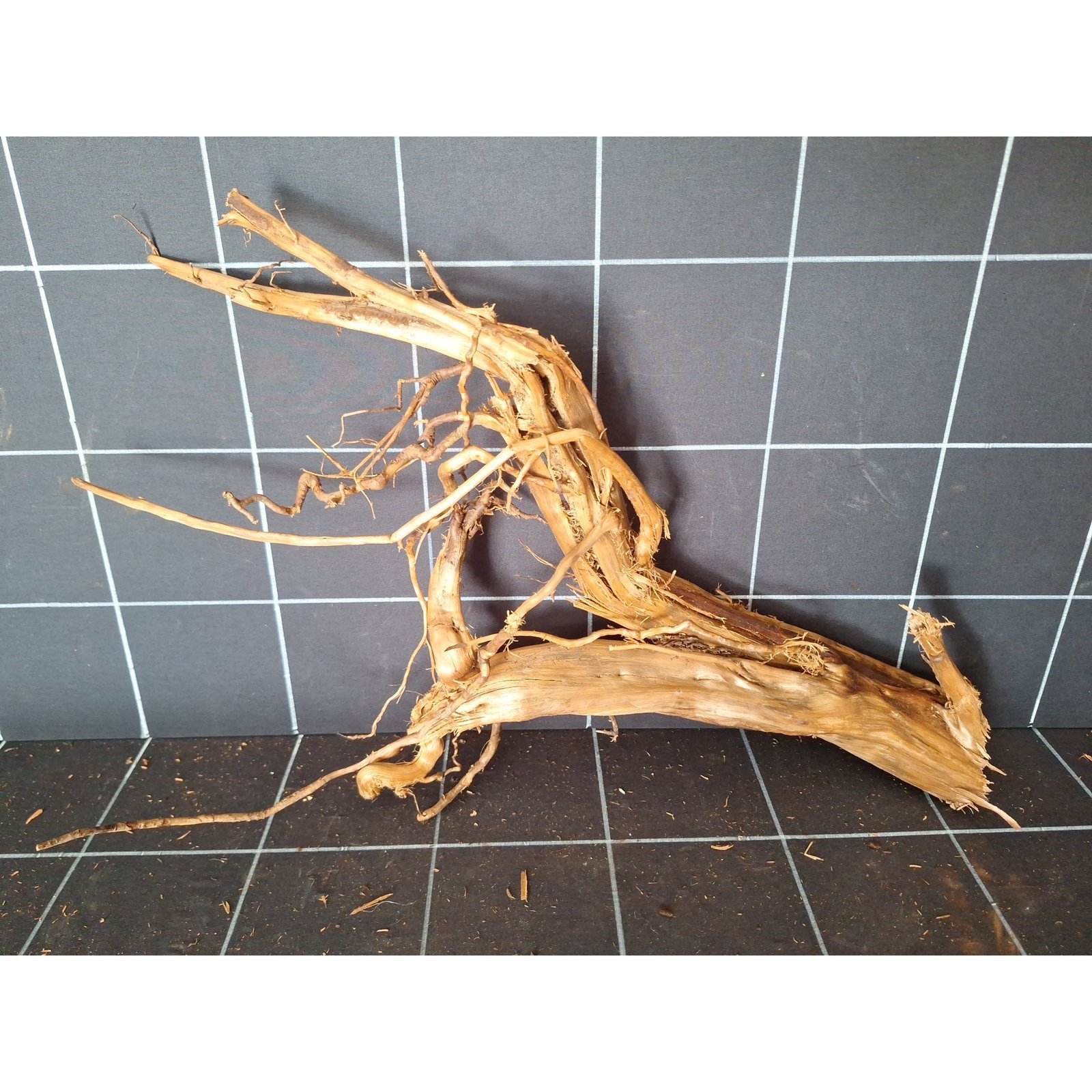 Tuskwood akvarierot i äkta bogwood, 55 cm, P142618