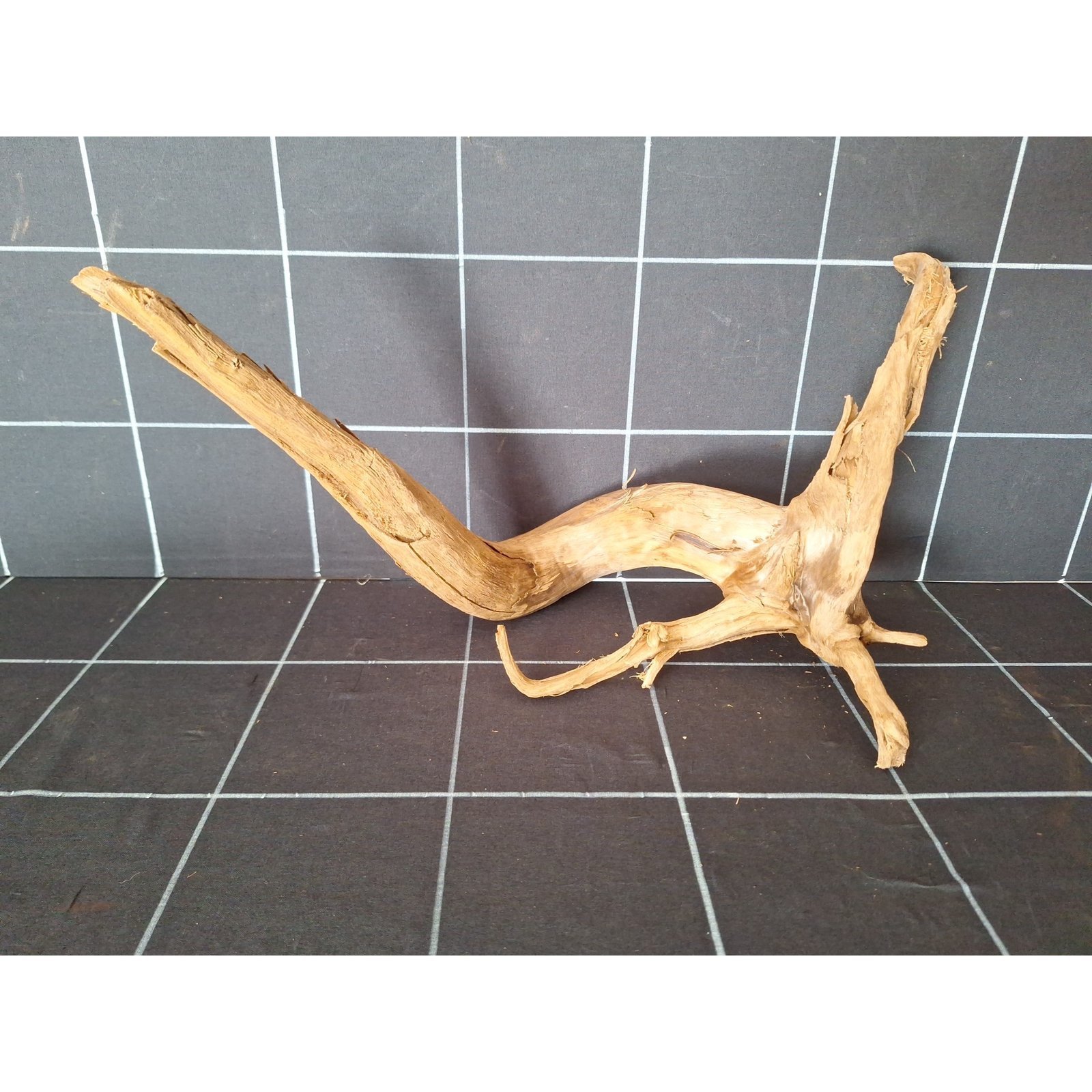 Tuskwood akvarierot i äkta bogwood, 40 cm, P162618