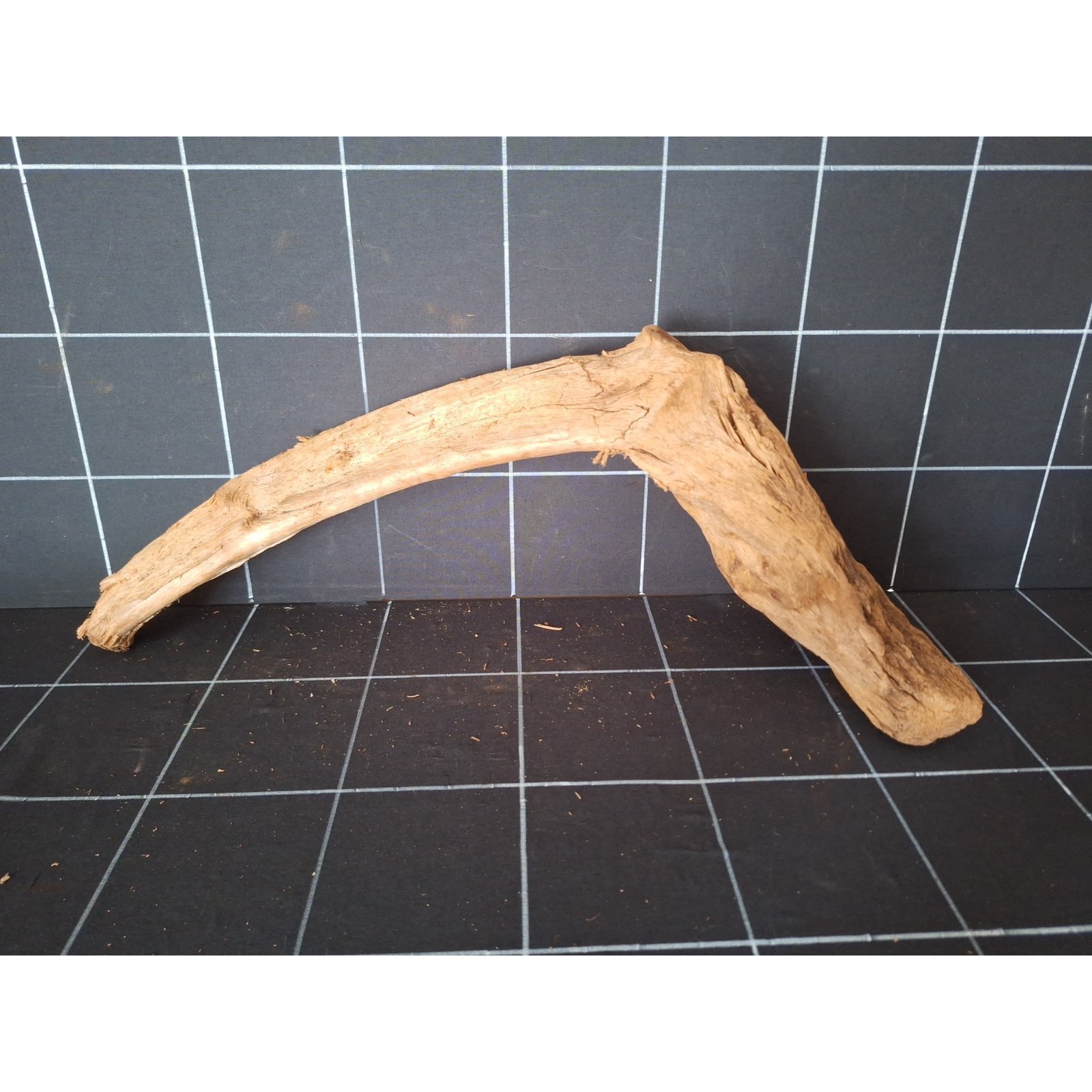 Tuskwood akvarierot i äkta bogwood, 58 cm, P182618