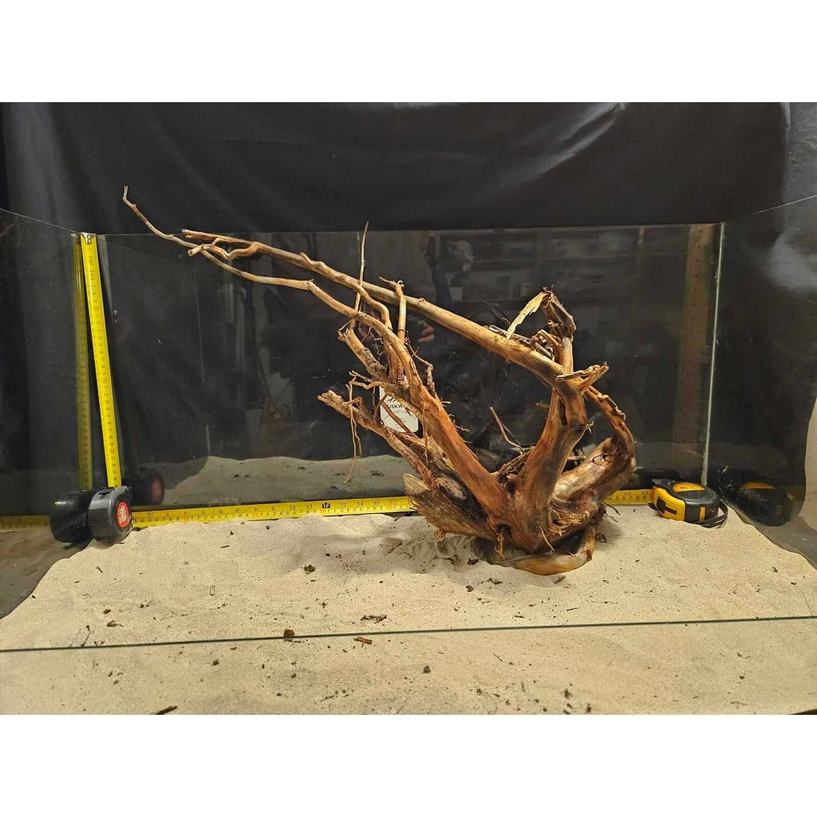 Tuskwood Aquariumrot WYSIWYG Echt Bogwood Uniek 55 cm nr. 11A