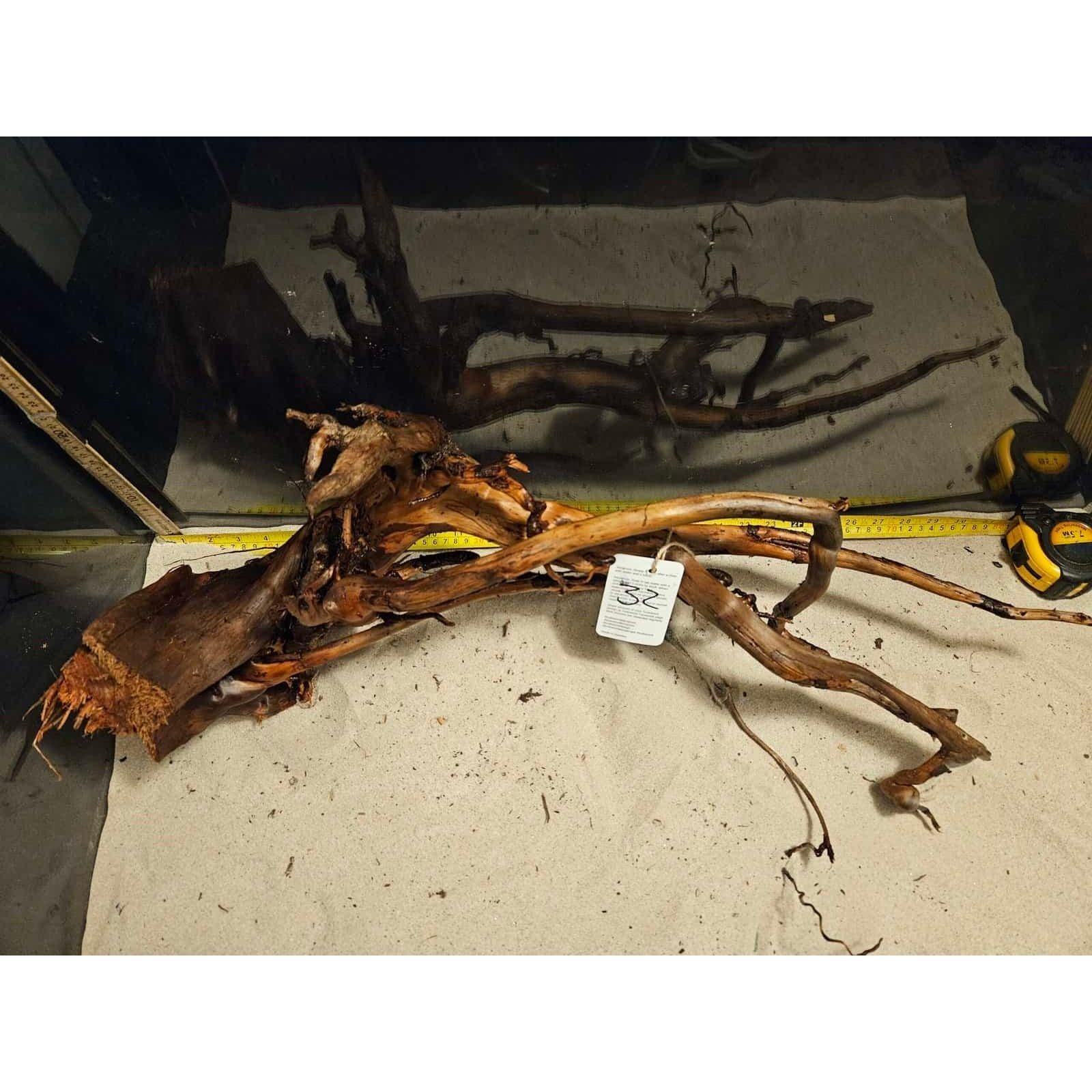 Tuskwood Aquarium-Wurzel WYSIWYG Echtes Bogwood Einzigartig 80 cm Nr. 32A