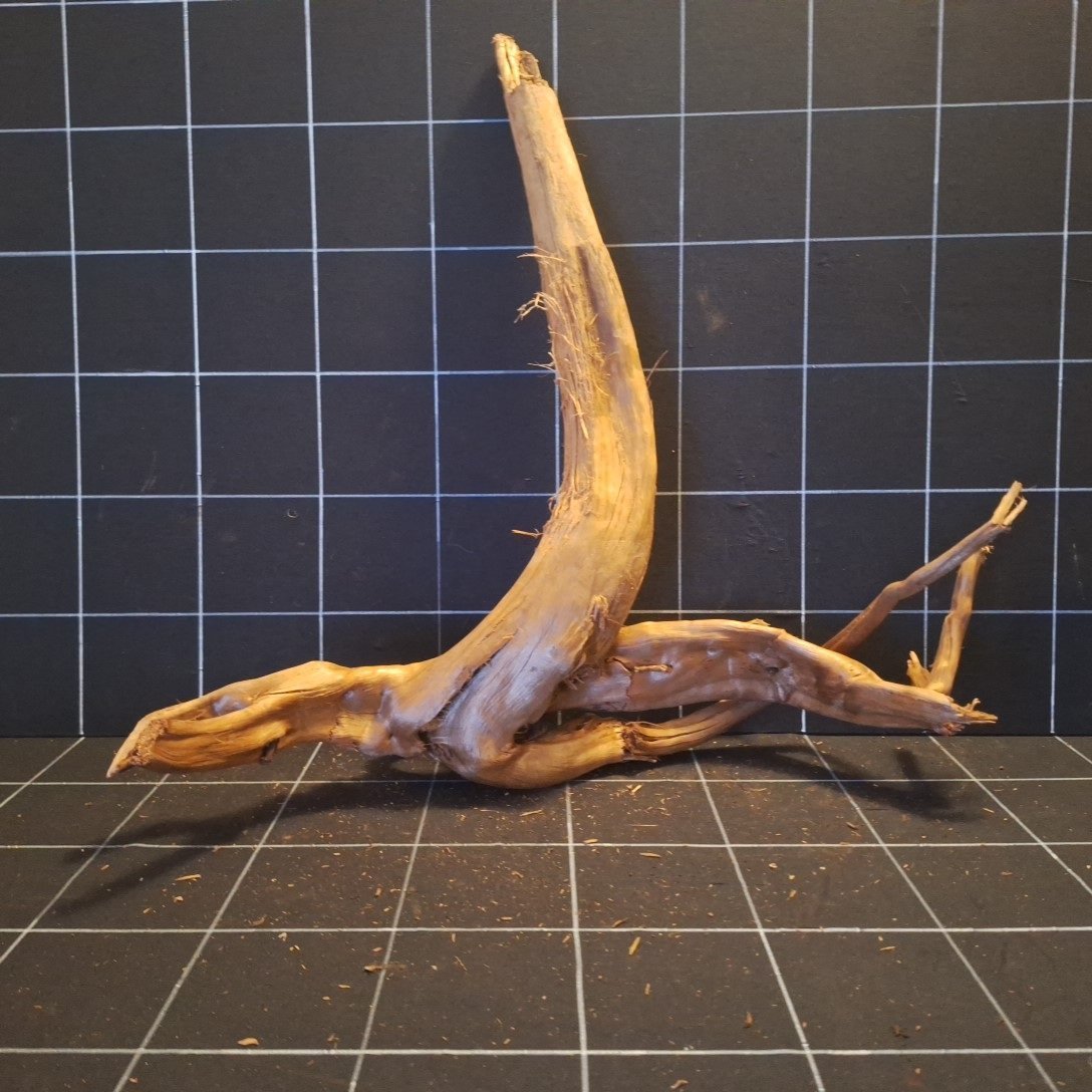 Tuskwood akvarierot i äkta bogwood, 59 cm, P252618