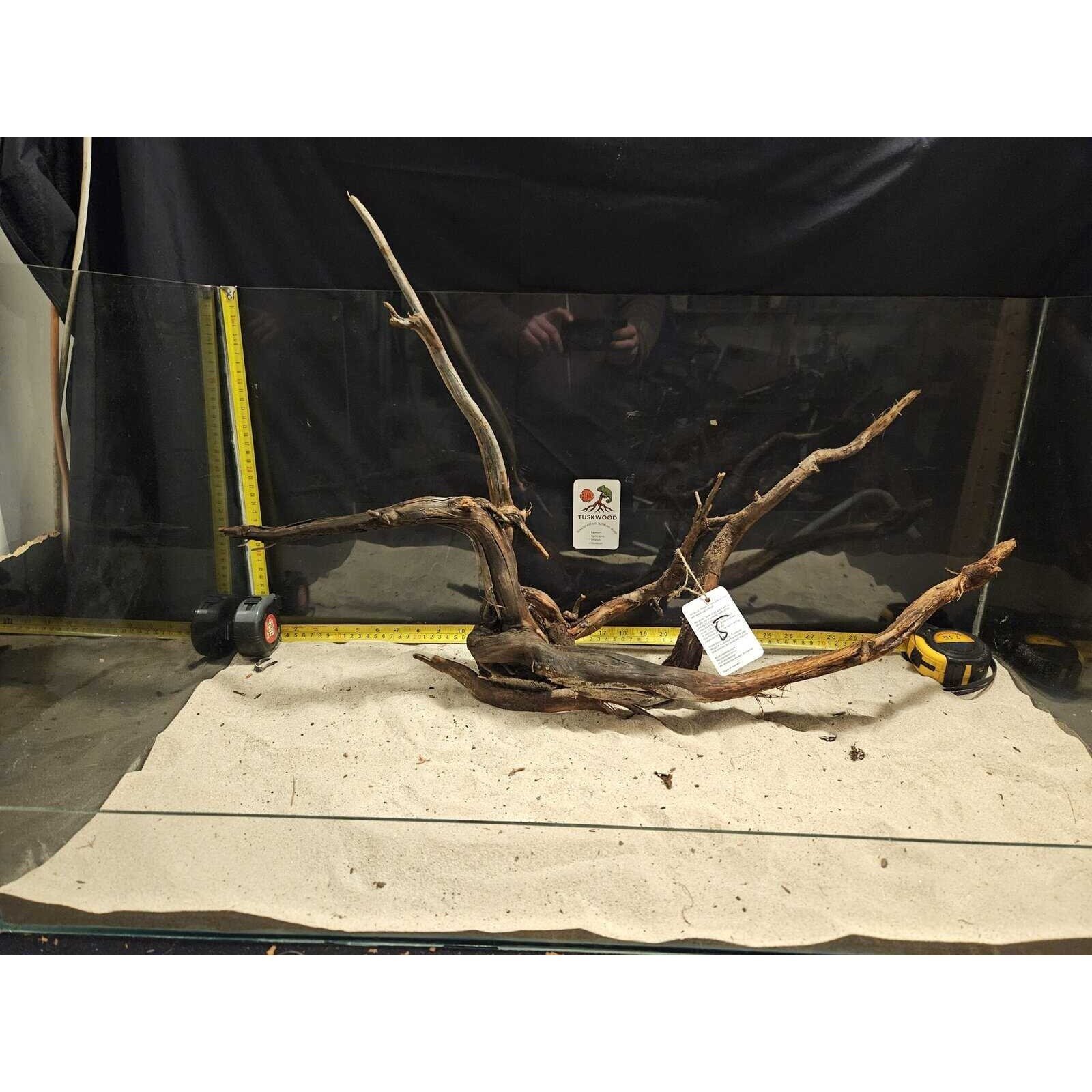 Tuskwood Aquarium-Zierholz WYSIWYG Echtes Bogwood Einzigartig 80 cm Nr. 5