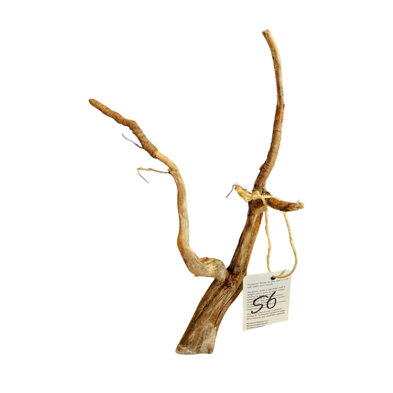 Tuskwood Aquarienholz WYSIWYG Echtes Bogwood Einzigartig 32 cm Nr. 56