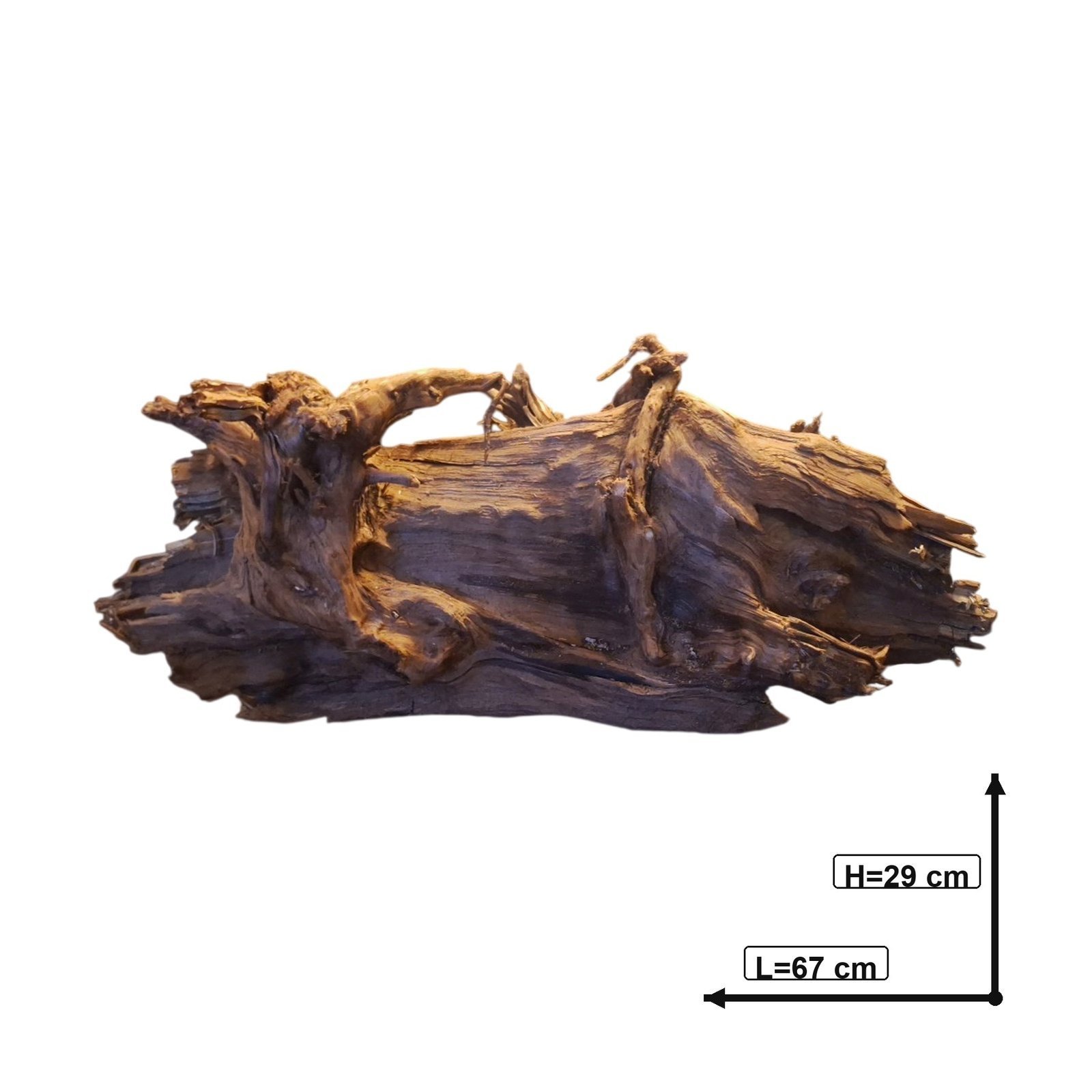 Tuskwood akvarierot i äkta bogwood, 67 cm, P272618