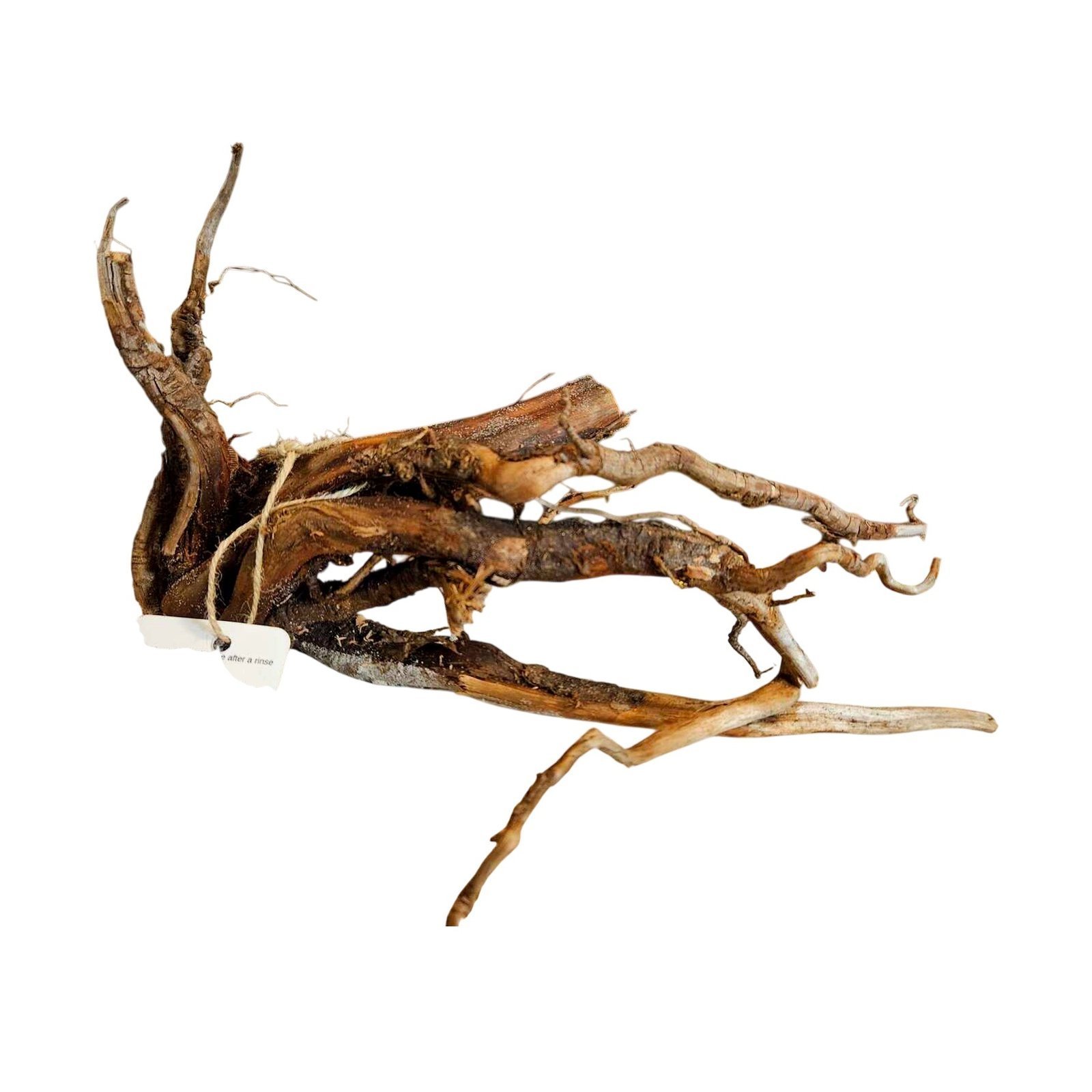 Tuskwood Akvarierot WYSIWYG Äkta Bogwood Unik 30 cm nr72A